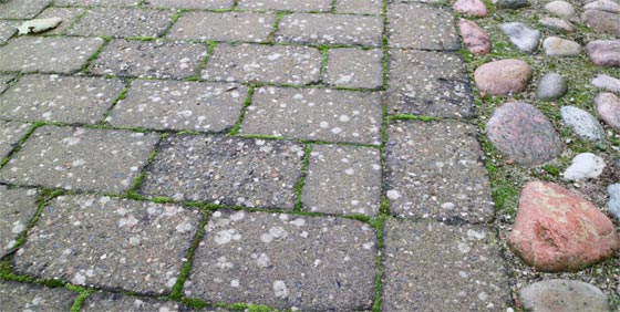 Videnscenter | NordicClean Pro Flisepest