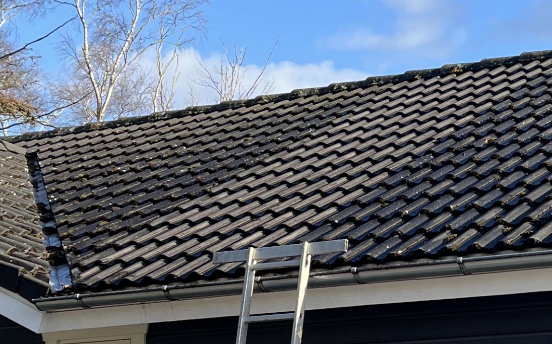 Videnscenter | NordicClean Pro Tagrens